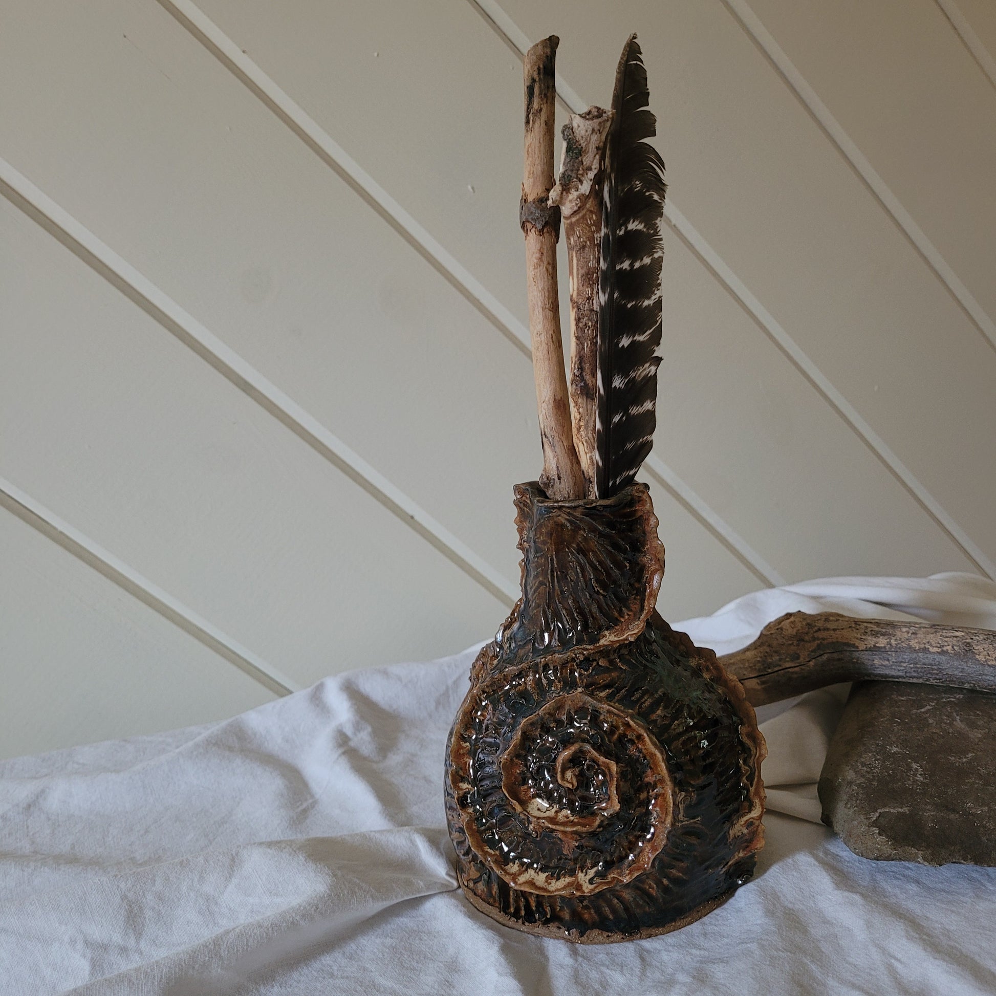 The Ammonite