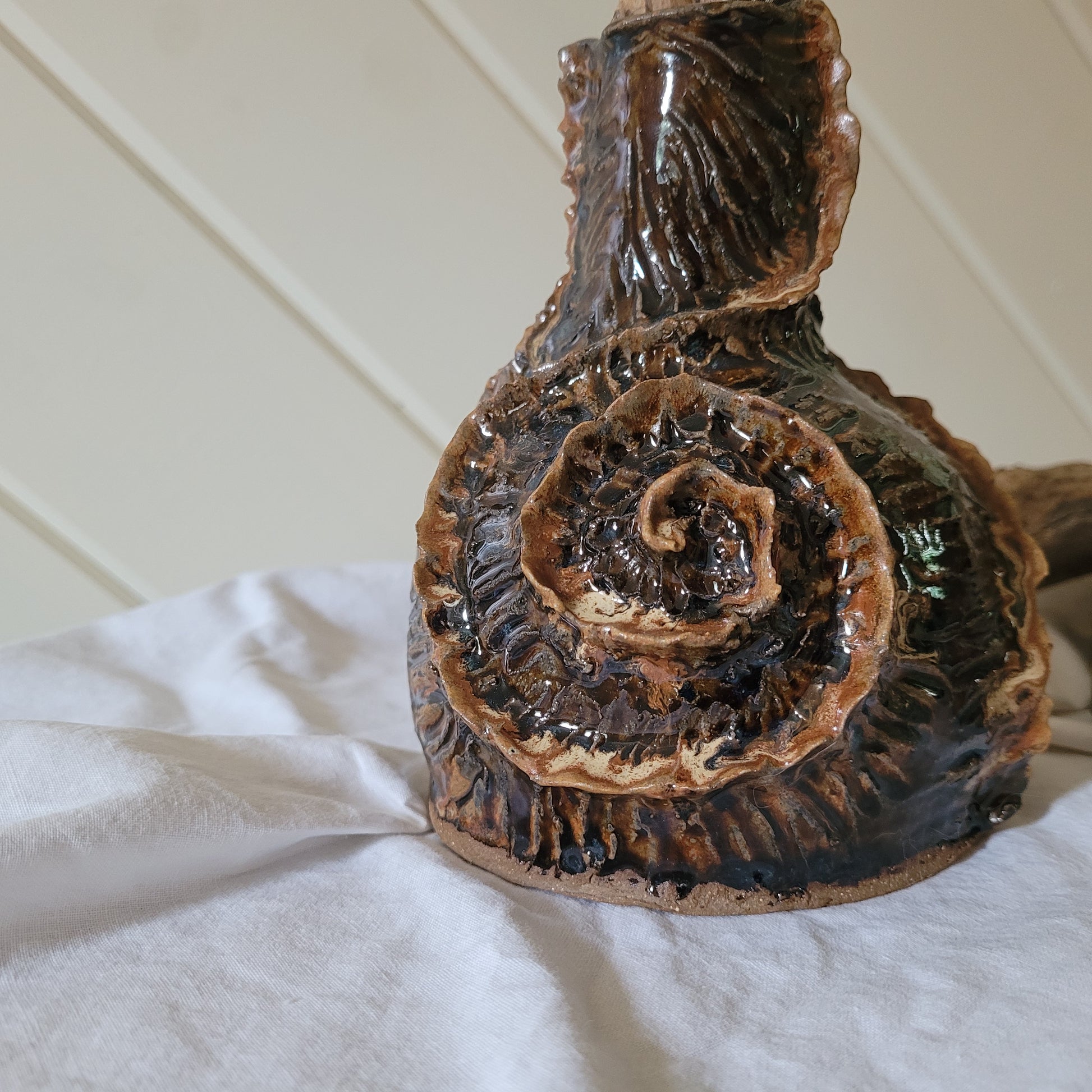 The Ammonite