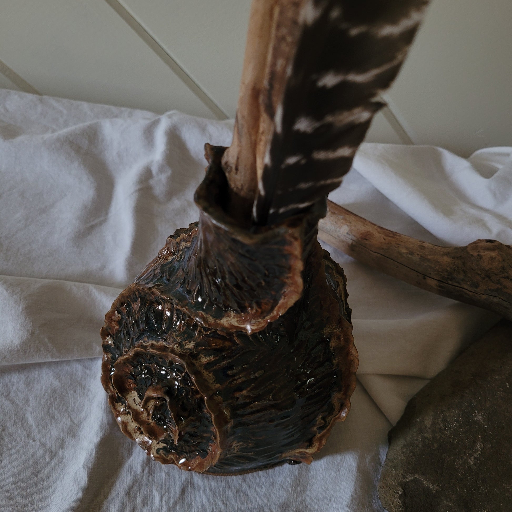 The Ammonite