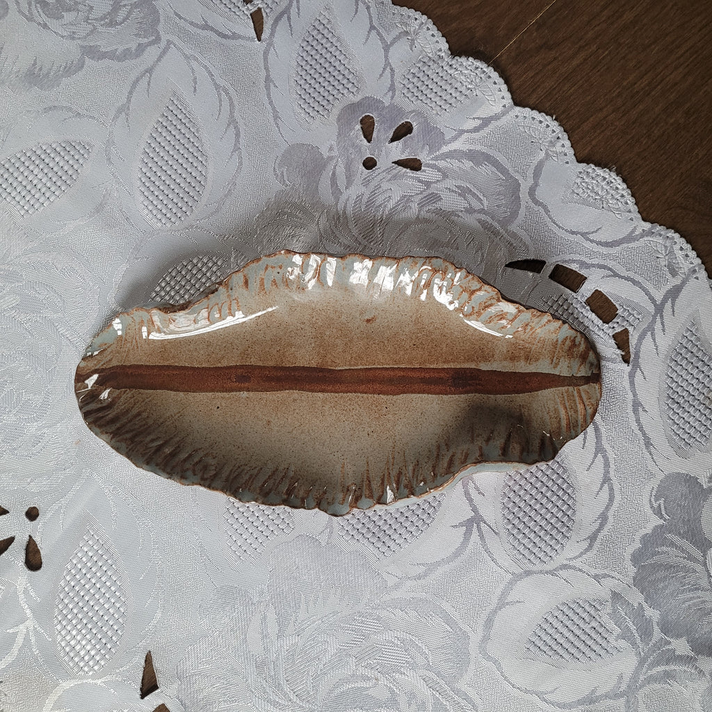 The Earth Platter