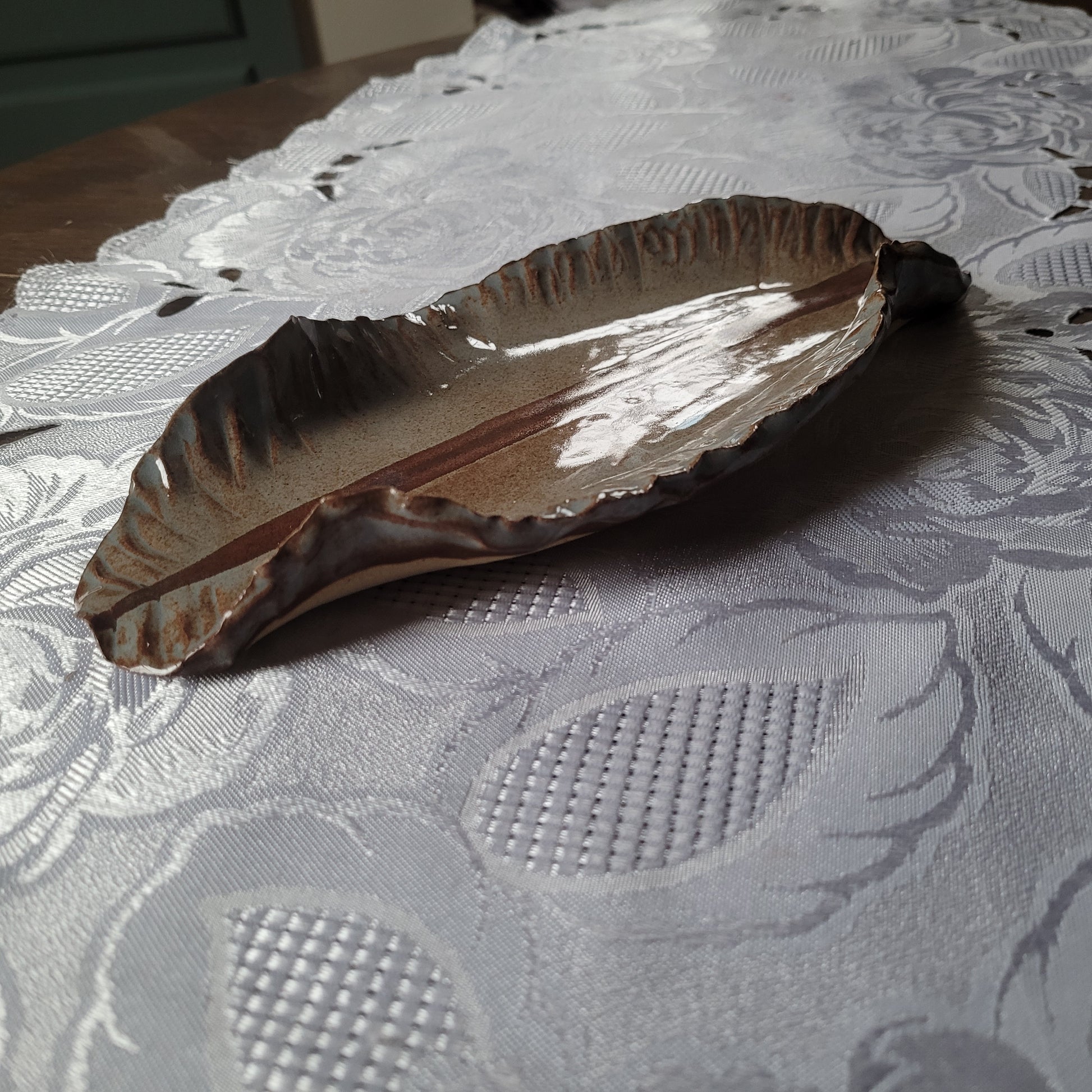 The Earth Platter